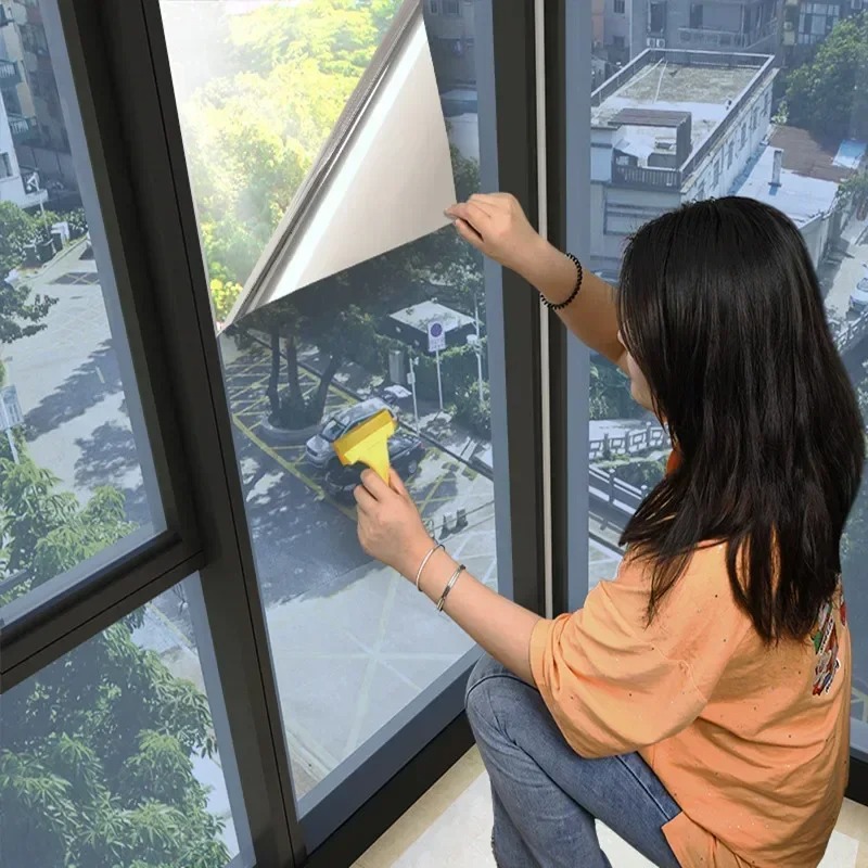 House Window Privacy Film Adhe - Tinted Window Film 评论和价格
